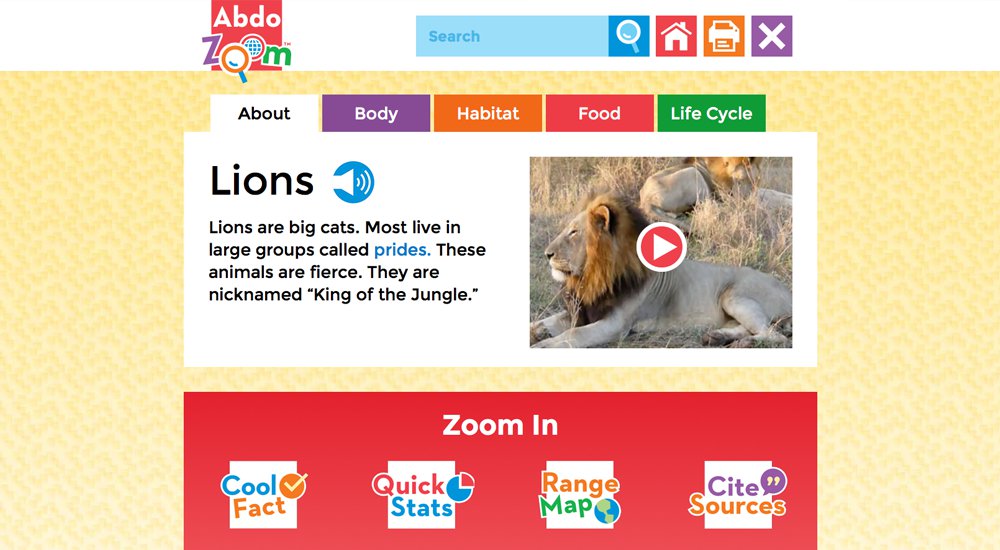 Abdo Zoom website