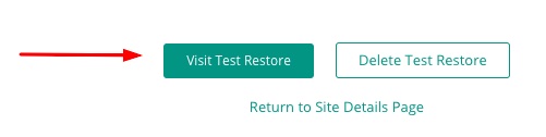 Blogvault Visit Test Restore