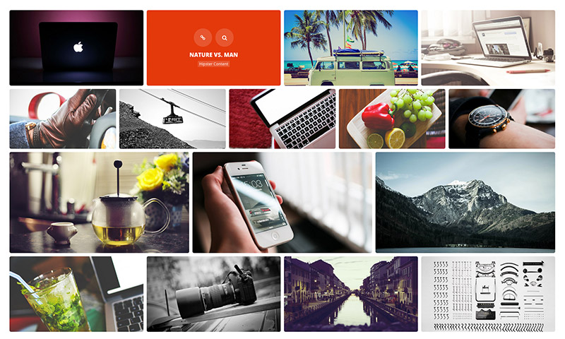 Essential Grid WordPress Plugin