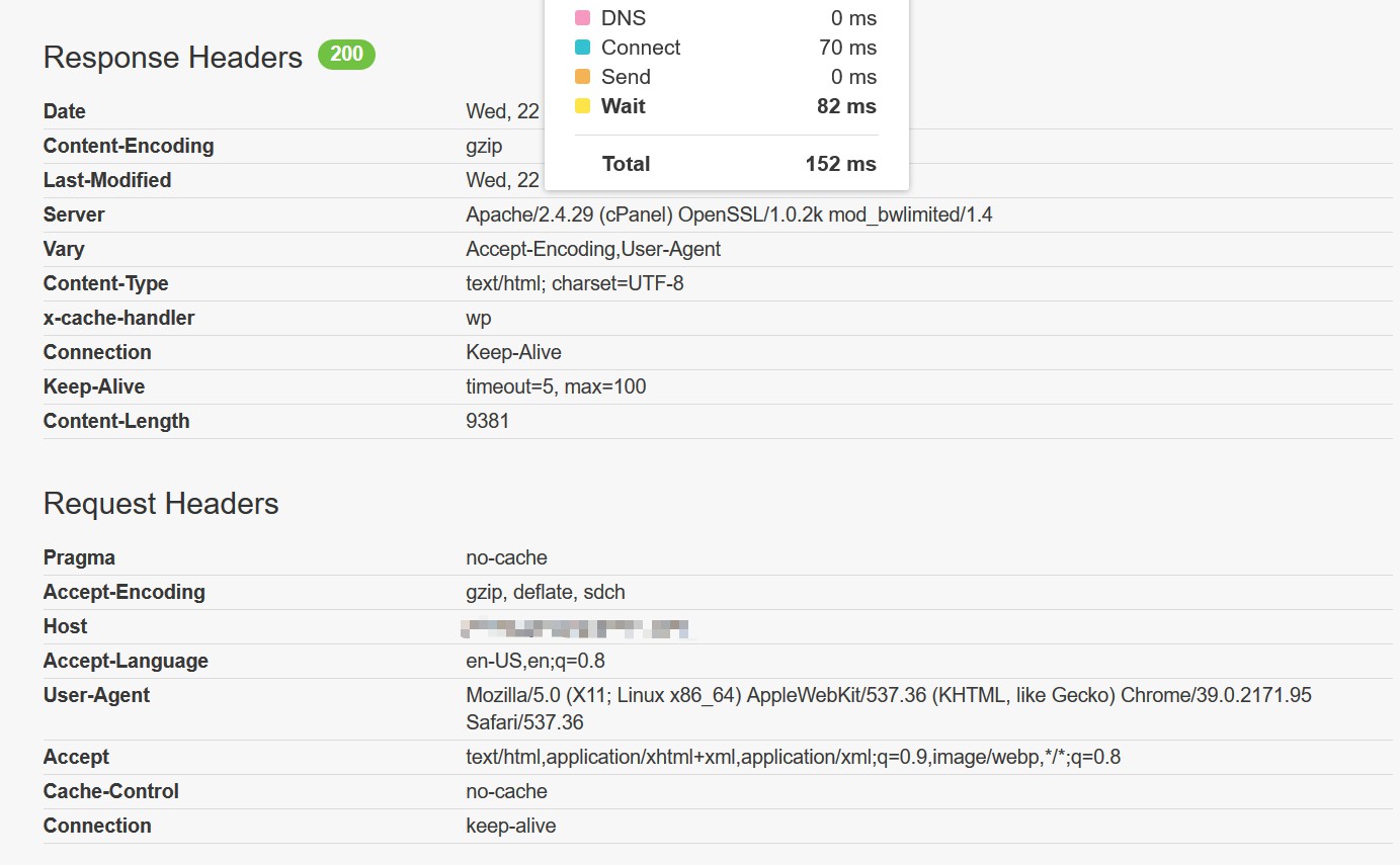 Time to First Byte: Fast Site, Average Server Response 2