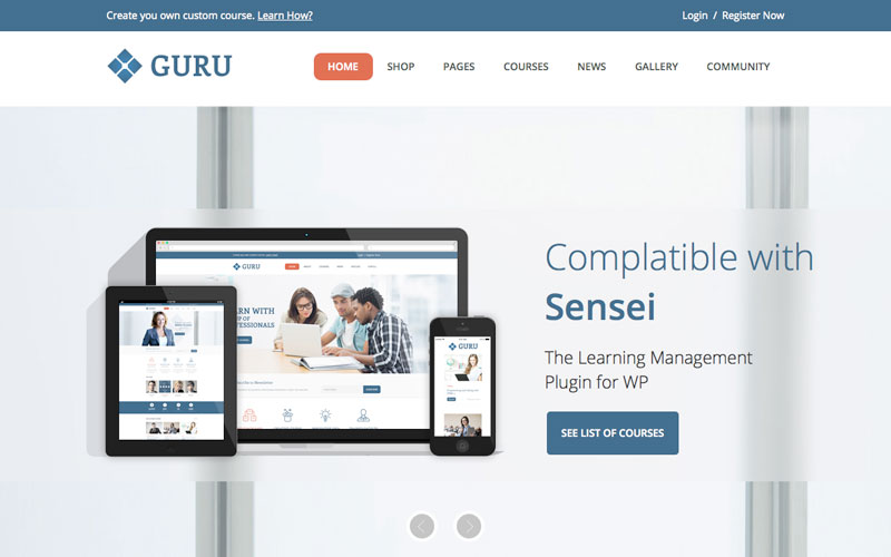 guru-education-theme