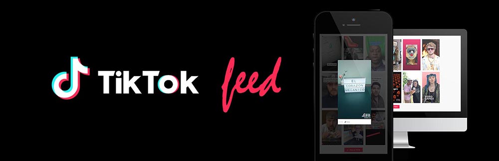 TikTok Feed Free Plugin