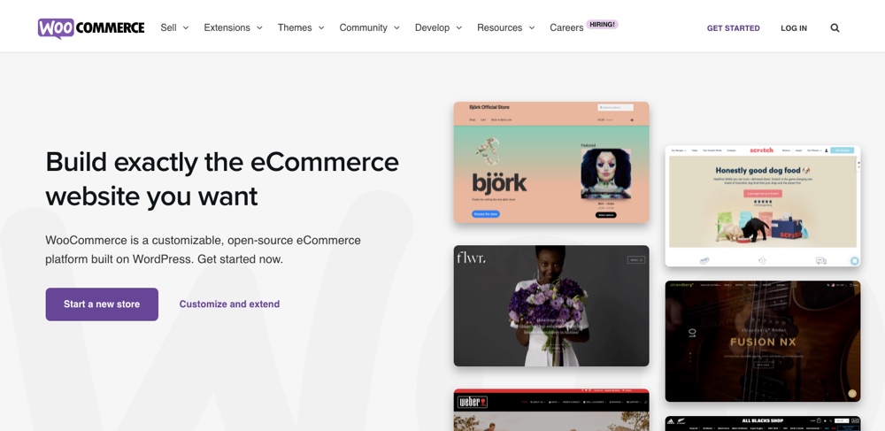 WooCommerce Landing Page Screenshot