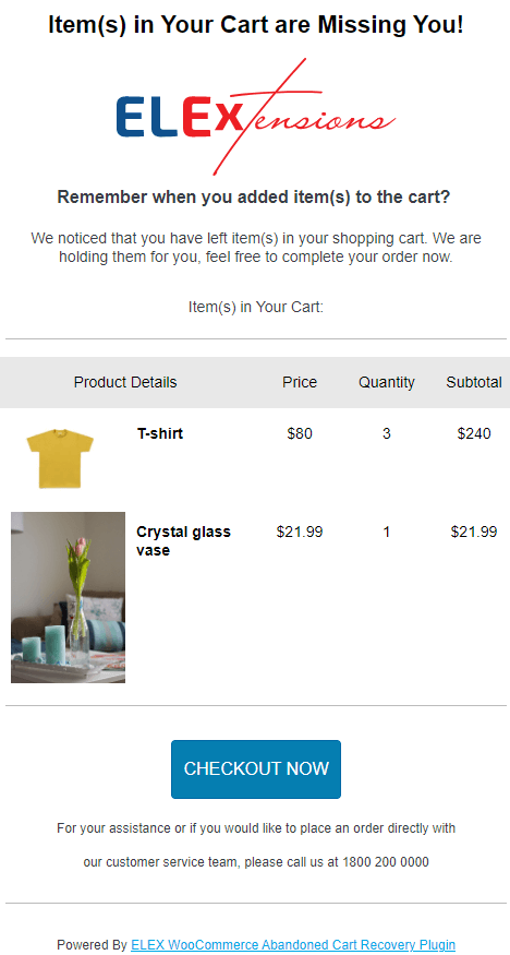 ELEX WooCommerce Abandoned Cart Recovery Example