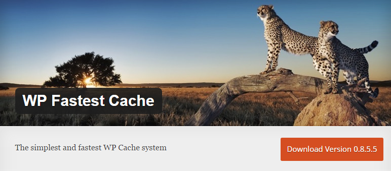 WP Fastest Cache