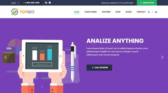 TopSEO - Digital Marketing WordPress Theme
